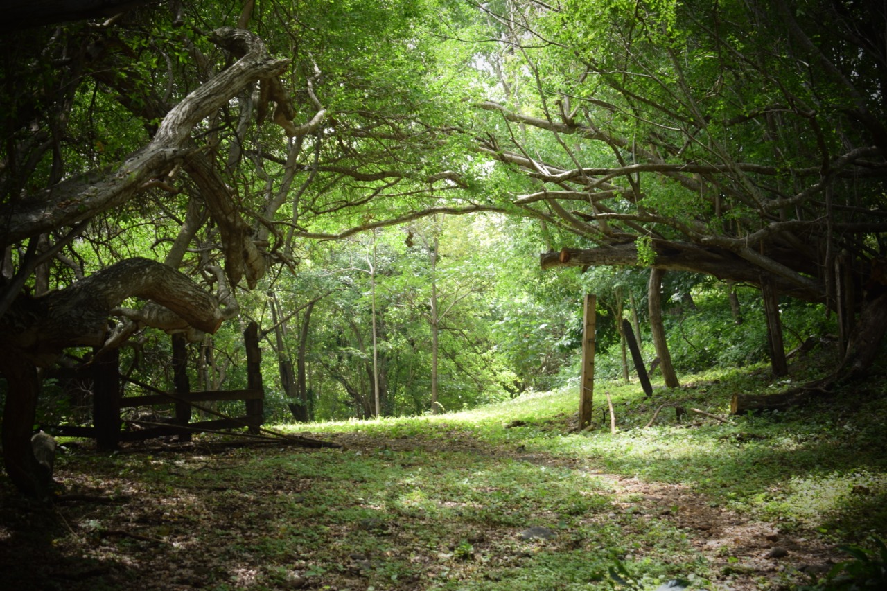 aguas-agrias
